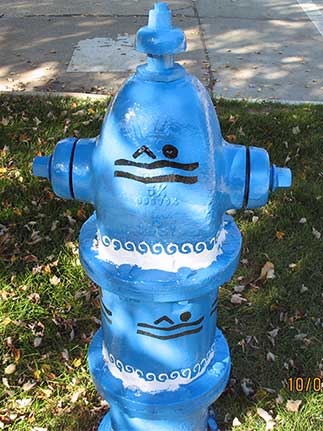 Swimmer- W. Vermont and North Harvard